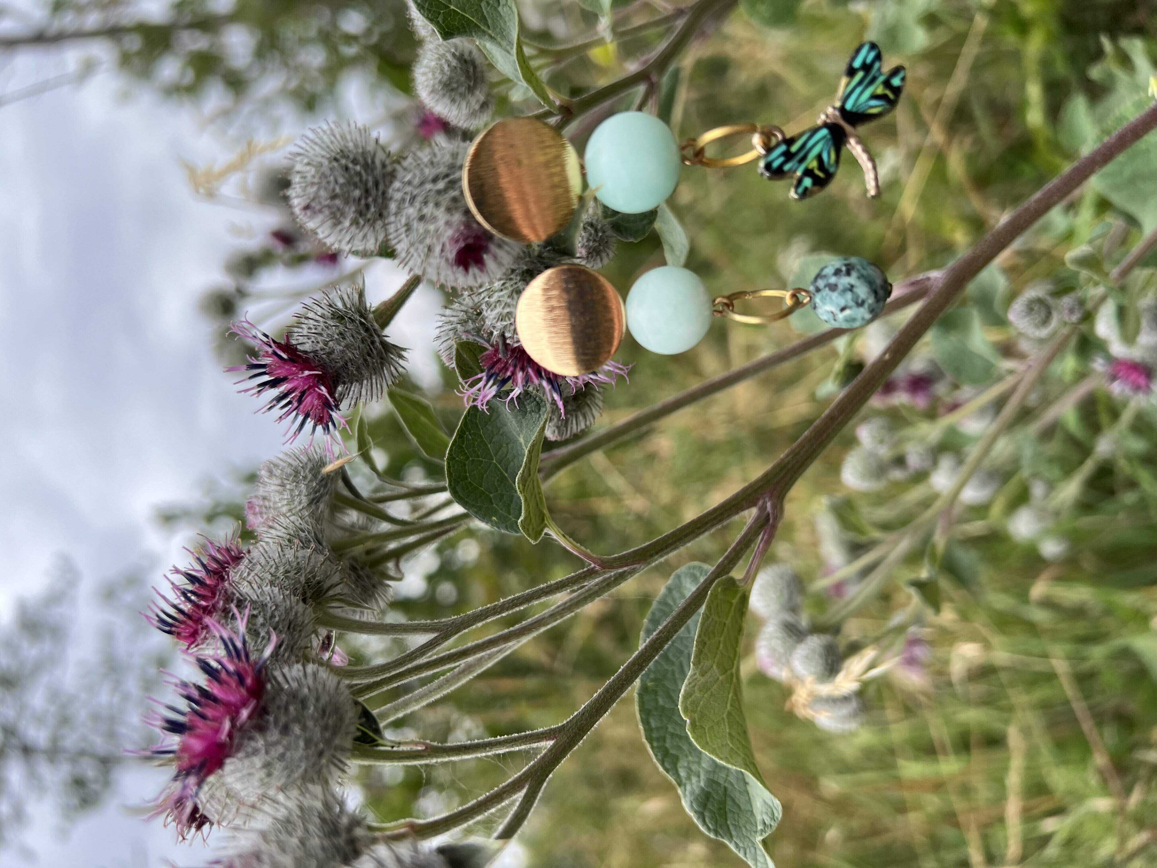 The Dance of the Dragonfly